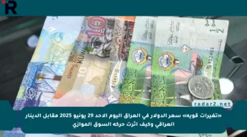 «تغيرات قوية» سعر الدولار في العراق اليوم الأحد 29 يونيو 2025 مقابل الدينار العراقي وكيف أثرت حركة السوق الموازي